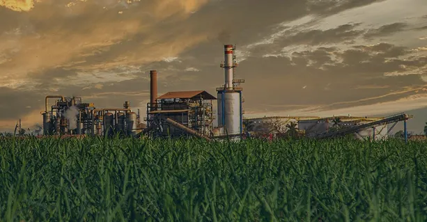 Setor Sucroalcooleiro